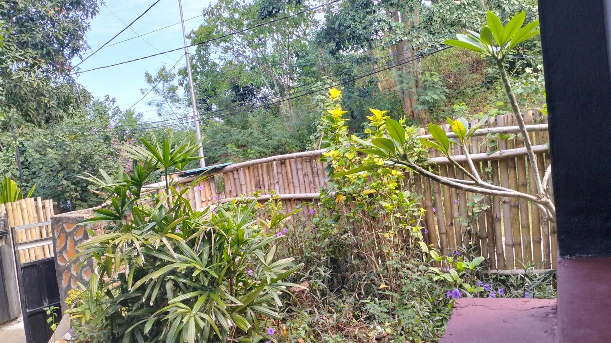 Palm Homestay Kuta Kuta  Eksteriør billede