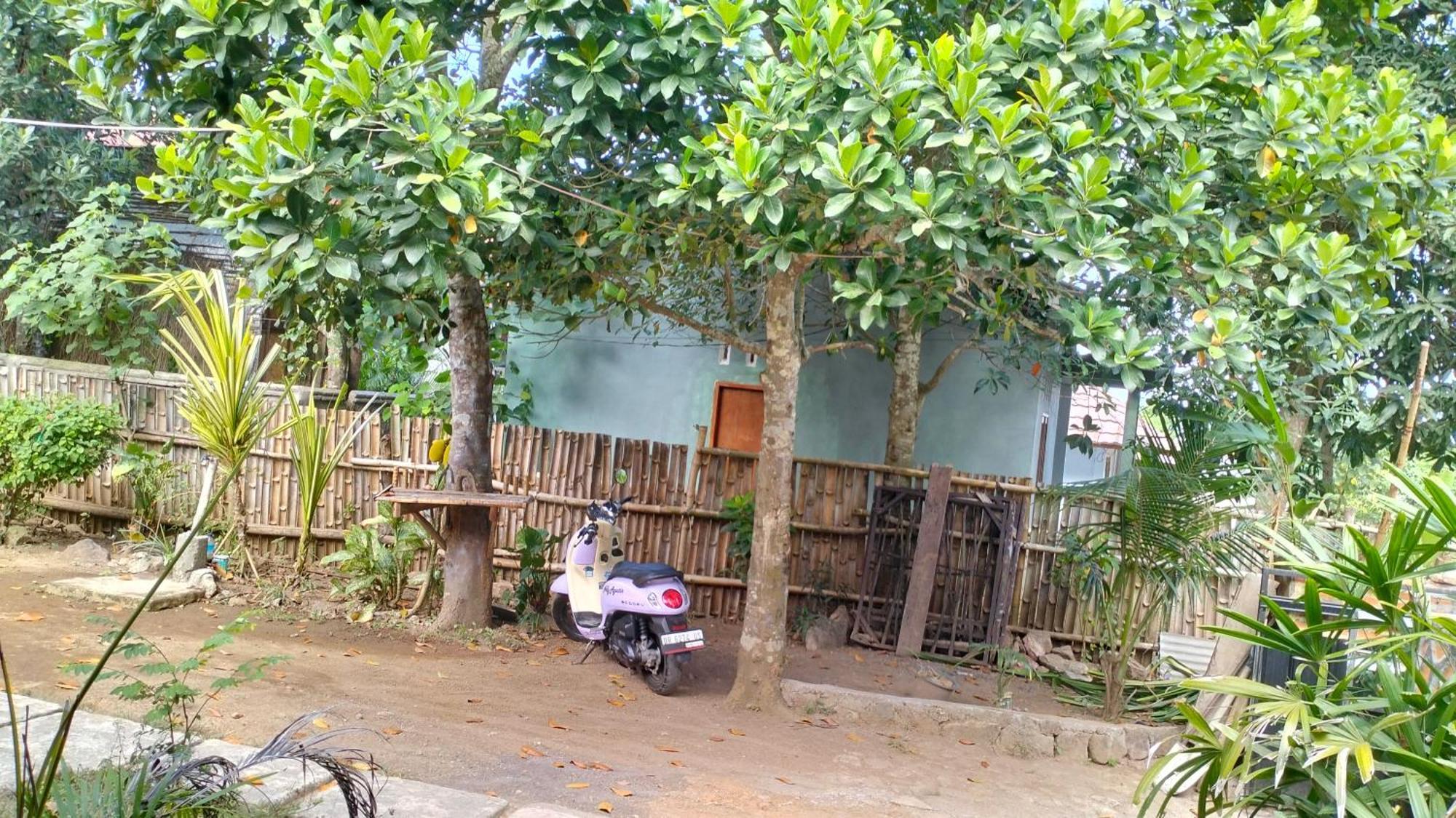 Palm Homestay Kuta Kuta  Eksteriør billede