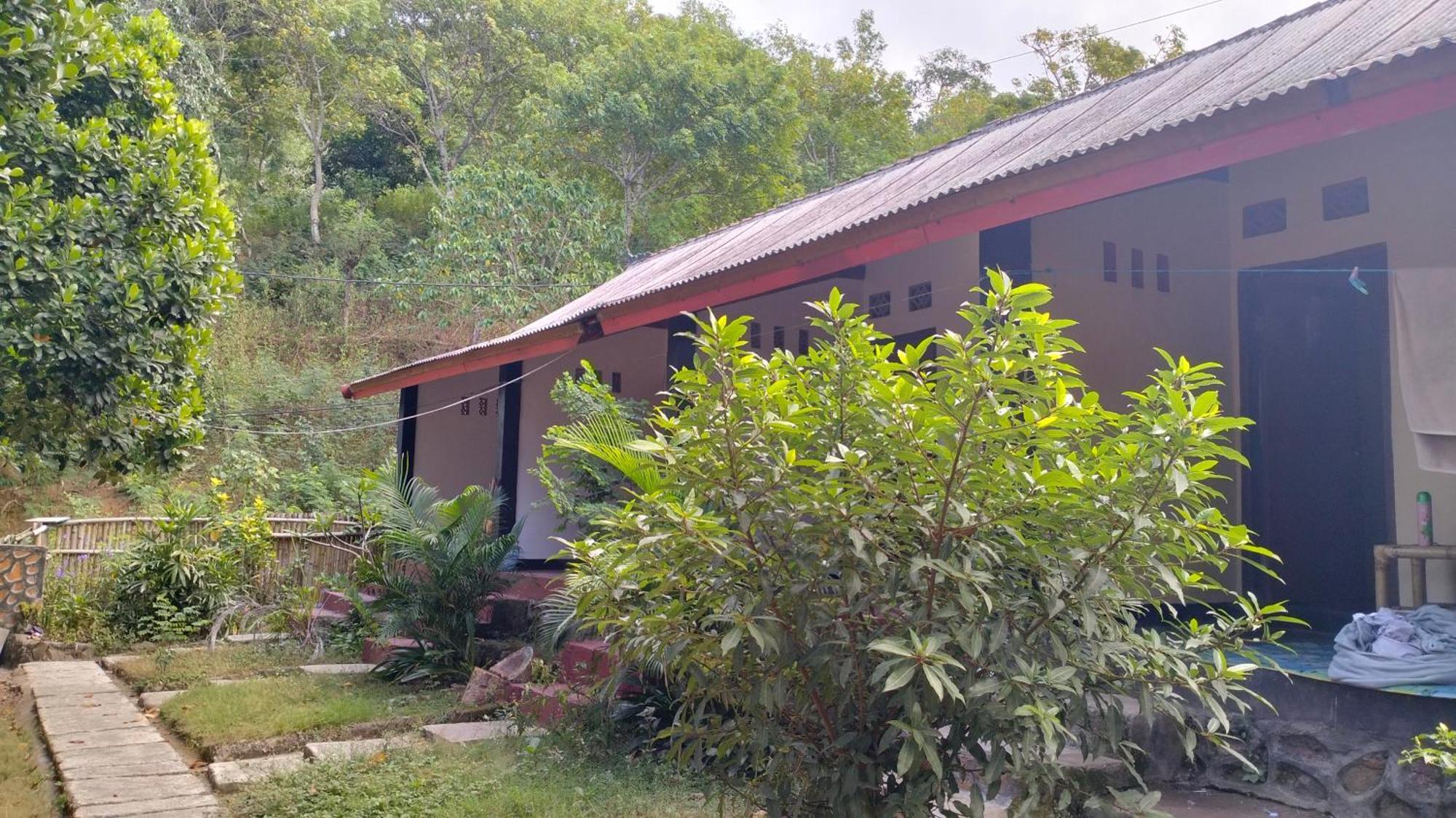 Palm Homestay Kuta Kuta  Eksteriør billede