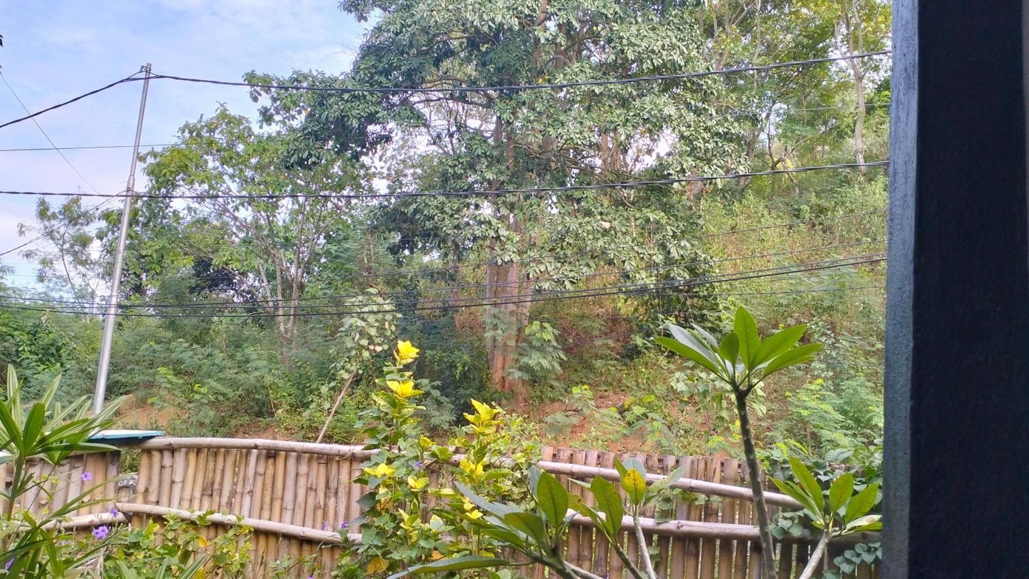 Palm Homestay Kuta Kuta  Eksteriør billede