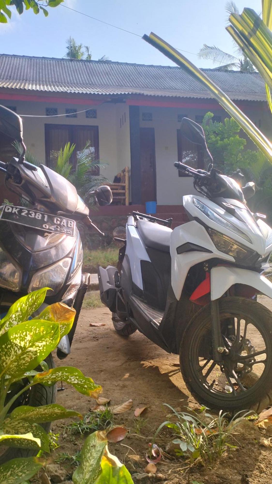 Palm Homestay Kuta Kuta  Eksteriør billede