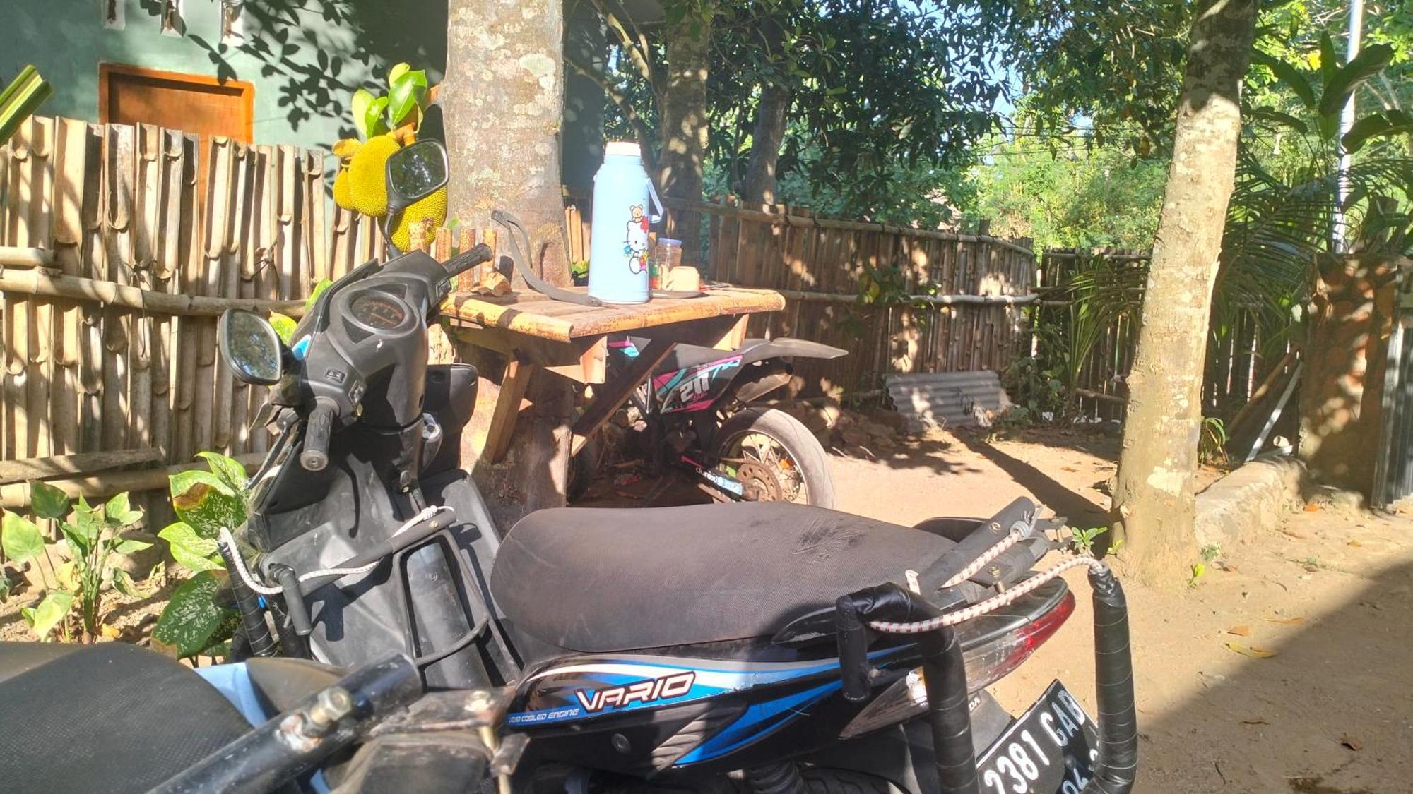 Palm Homestay Kuta Kuta  Eksteriør billede