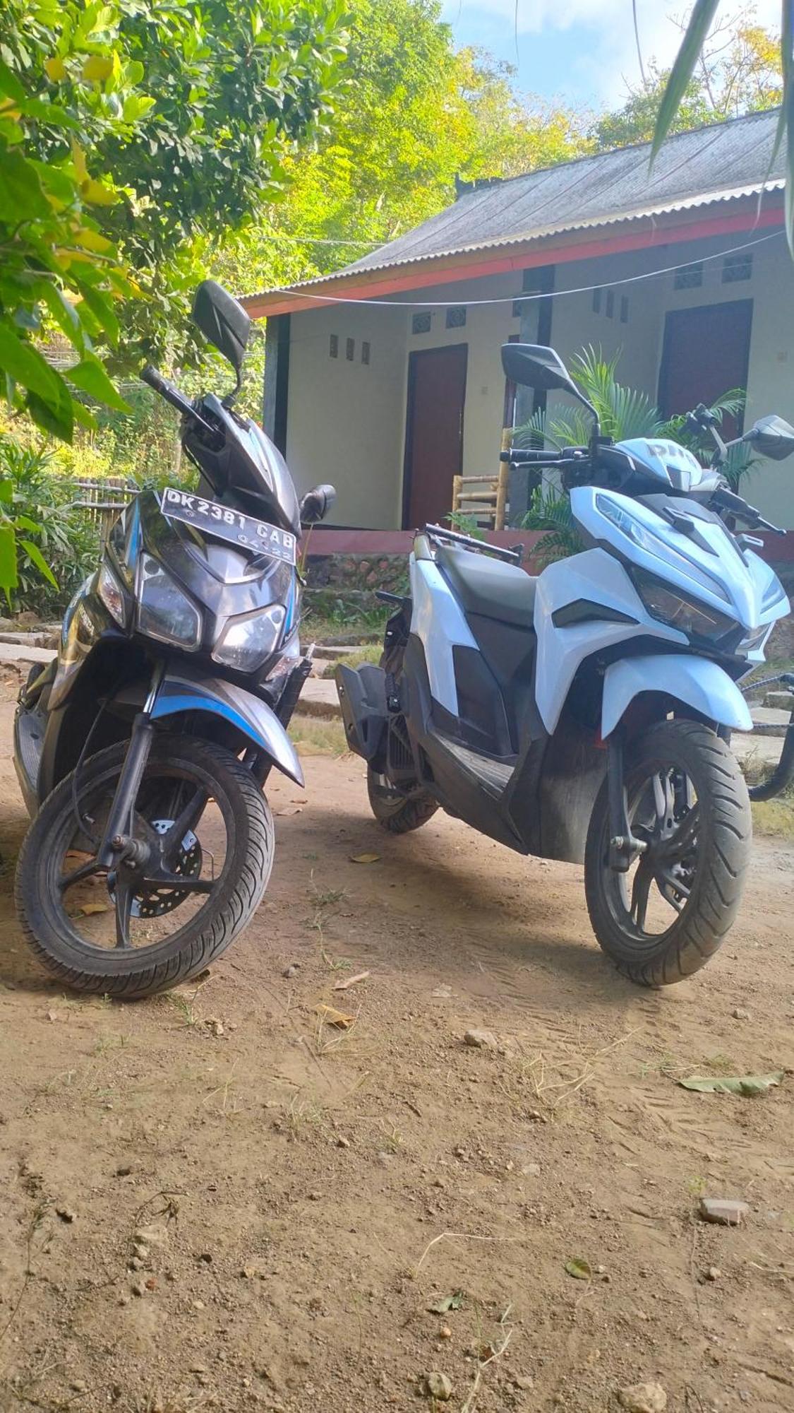 Palm Homestay Kuta Kuta  Eksteriør billede