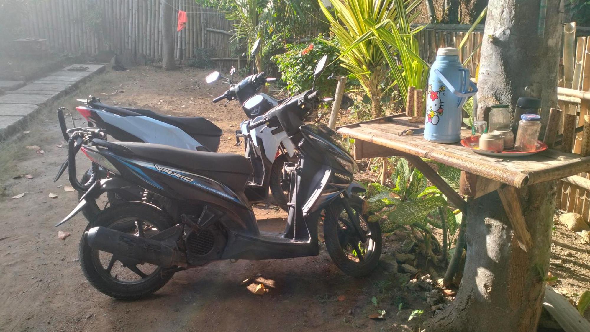 Palm Homestay Kuta Kuta  Eksteriør billede