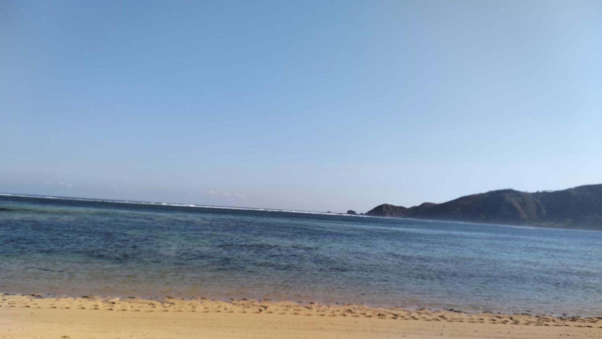 Palm Homestay Kuta Kuta  Eksteriør billede